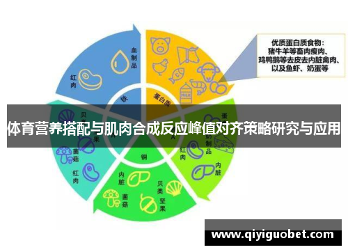 体育营养搭配与肌肉合成反应峰值对齐策略研究与应用